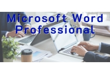 Microsoft Word Professional